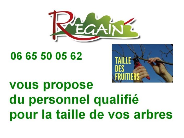 taille des arbres