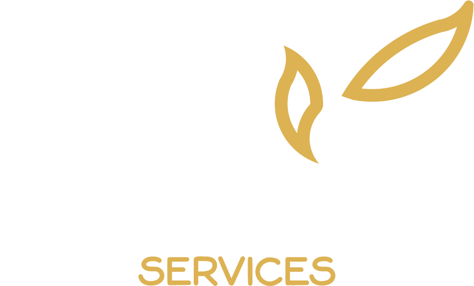 Logotype Regain services